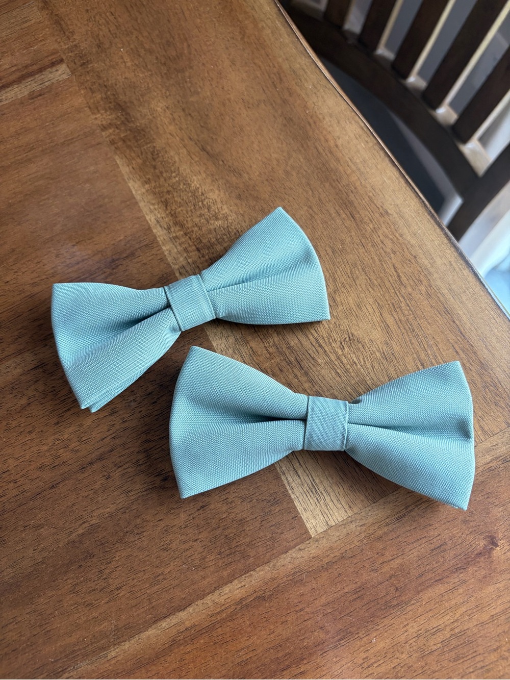 Eucalyptus Bows for Pet Collars